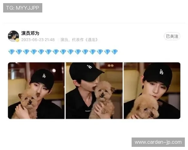 尊龙微博粉丝互动活动回顾明星与粉丝的温馨时刻