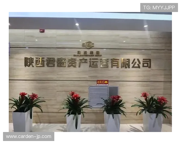 尊龙现金一下ag发财网指导：详细分析平台的支付方式与到账速度